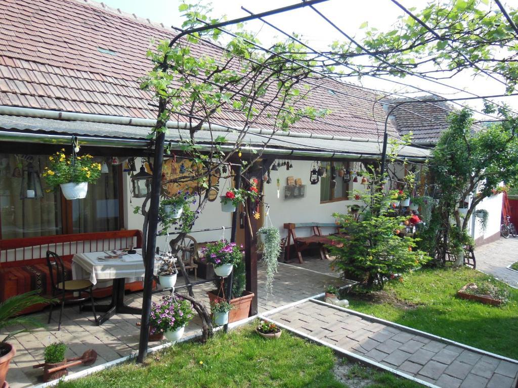 Pension Bassen Bazna Exterior foto