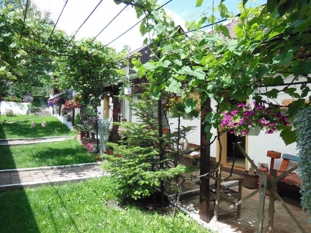 Pension Bassen Bazna Exterior foto