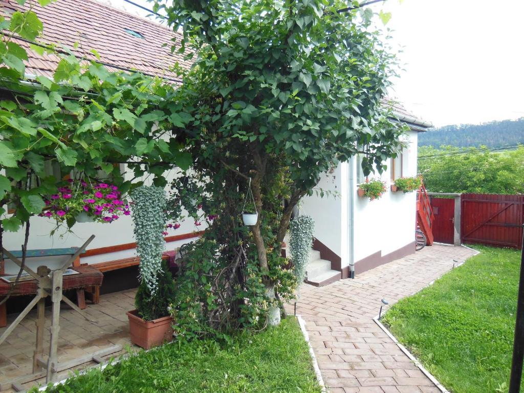 Pension Bassen Bazna Exterior foto