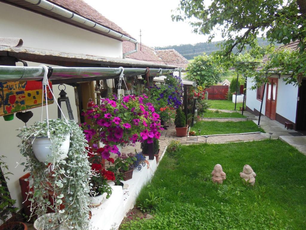 Pension Bassen Bazna Exterior foto