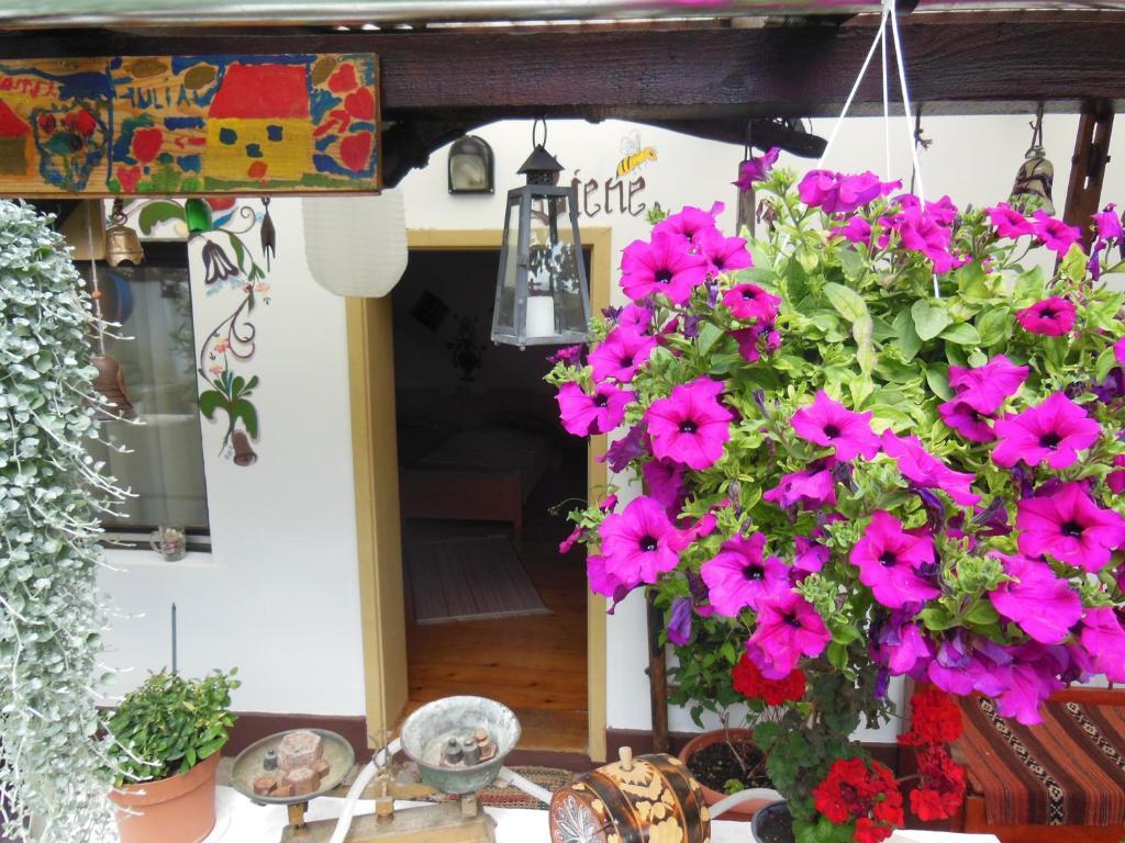 Pension Bassen Bazna Exterior foto