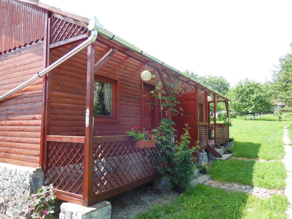 Pension Bassen Bazna Exterior foto