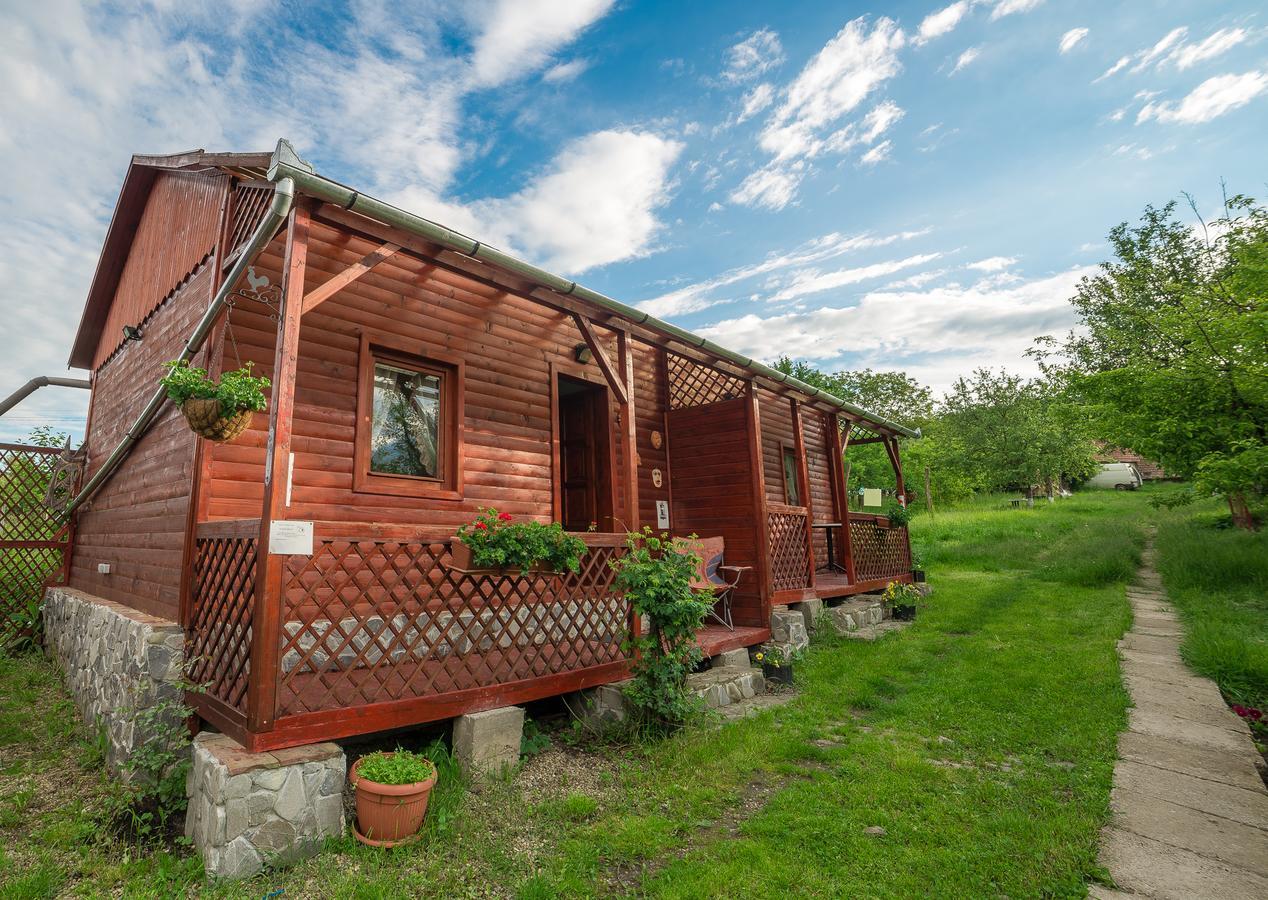 Pension Bassen Bazna Exterior foto