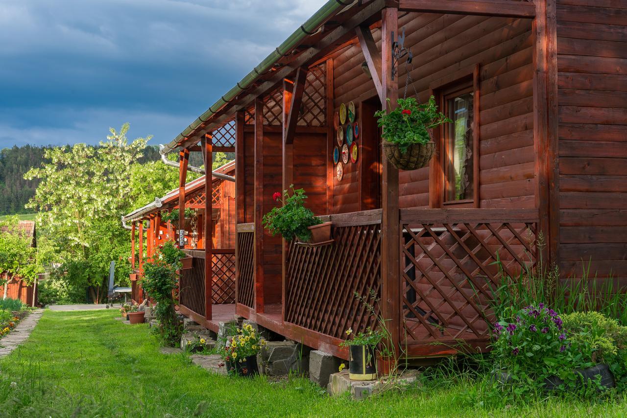 Pension Bassen Bazna Exterior foto