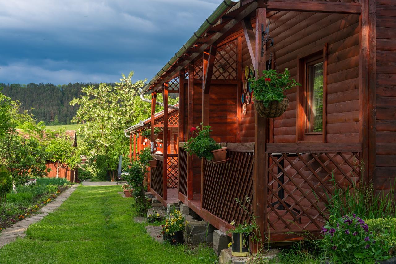 Pension Bassen Bazna Exterior foto