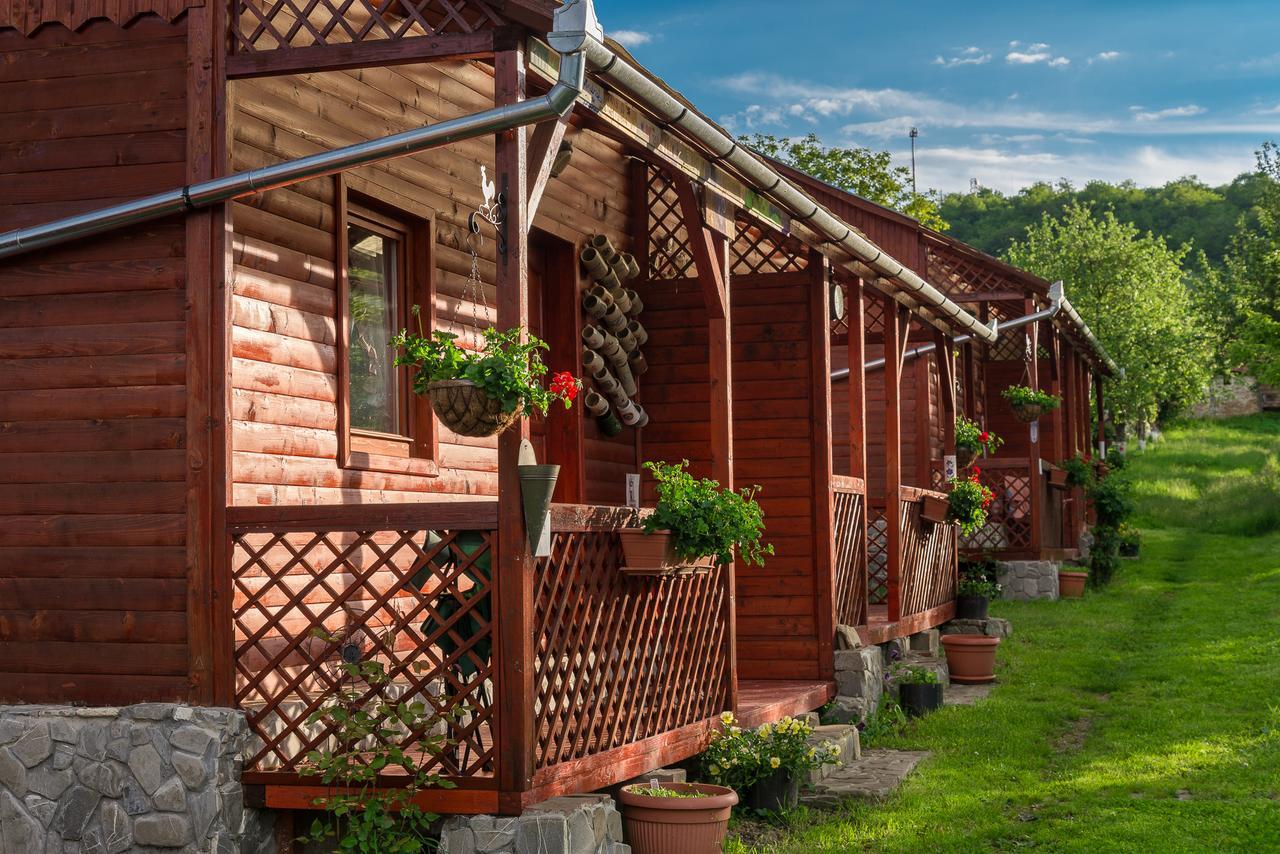 Pension Bassen Bazna Exterior foto