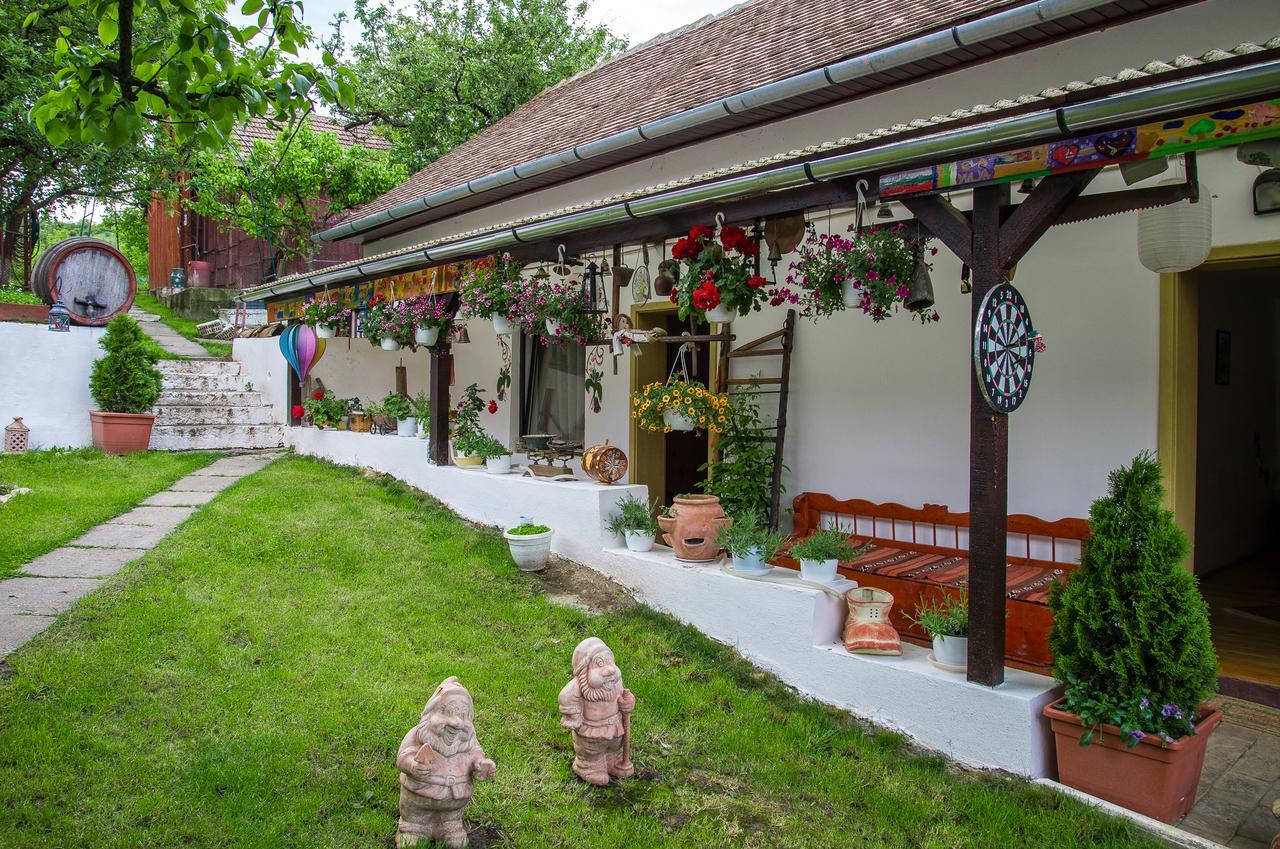 Pension Bassen Bazna Exterior foto